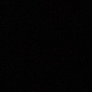 Meet your Posher, Sammy